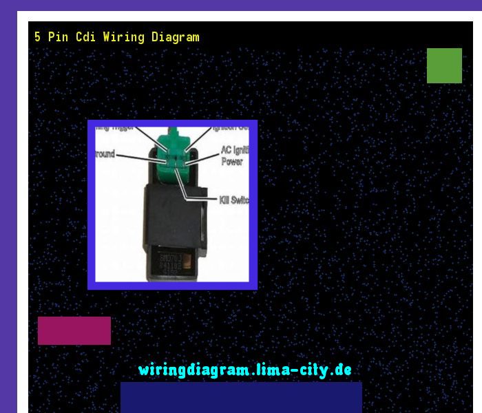 5 Pin Cdi Wiring Diagram