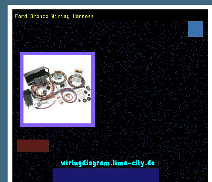 Ford Bronco Wiring Harness